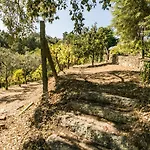 Tapadinho Nature And Pool - Countryside Castelo de Paiva