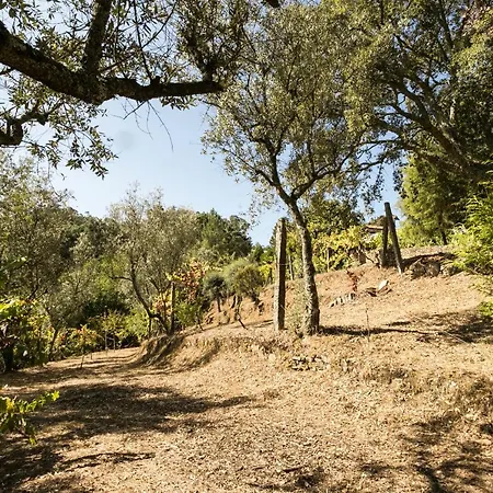 Dom wakacyjny Tapadinho Nature And Pool - Countryside Castelo de Paiva