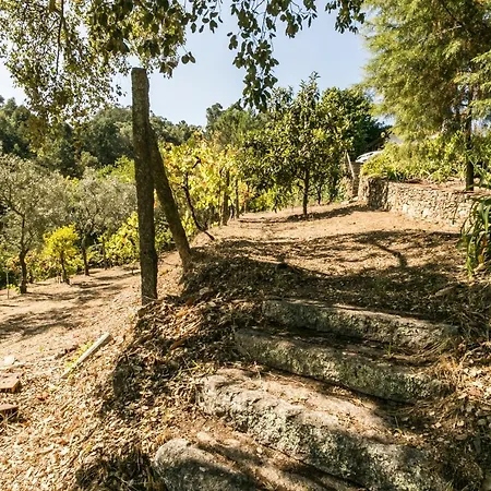 Tapadinho Nature And Pool - Countryside Castelo de Paiva