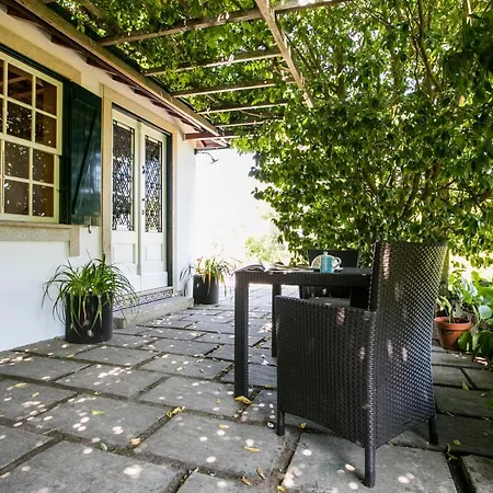 Tapadinho Nature And Pool - Countryside בית נופש