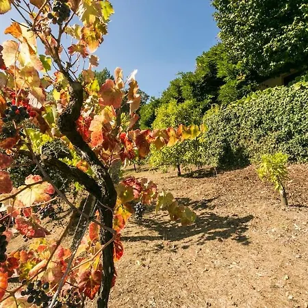 Tapadinho Nature And Pool - Countryside Dom wakacyjny *