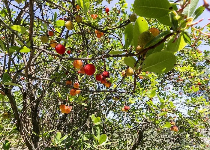 Tapadinho Nature And Pool - Countryside Casa vacanze Castelo de Paiva