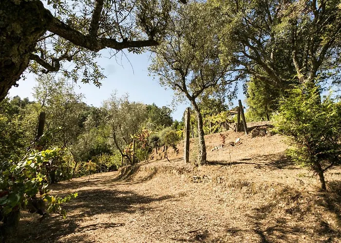 בית נופש Tapadinho Nature And Pool - Countryside קסטלו דה פייבה