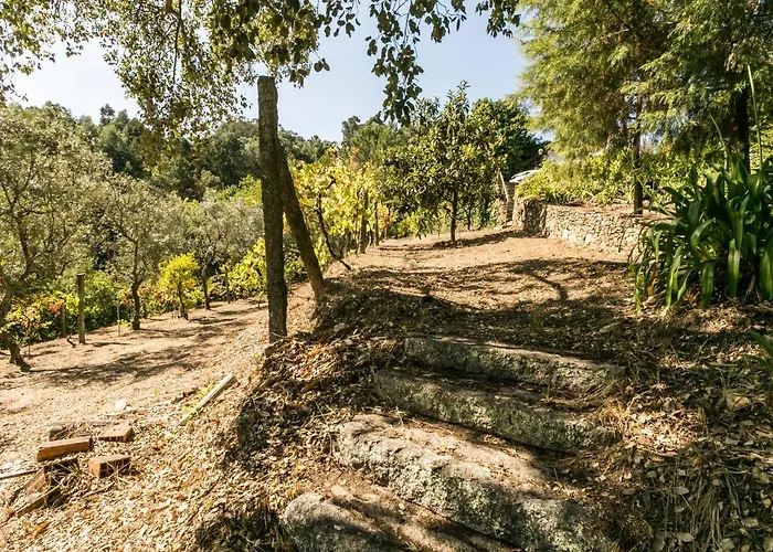Tapadinho Nature And Pool - Countryside Castelo de Paiva