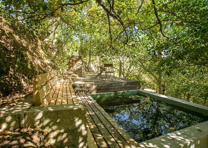 Tapadinho Nature And Pool - Countryside * קסטלו דה פייבה