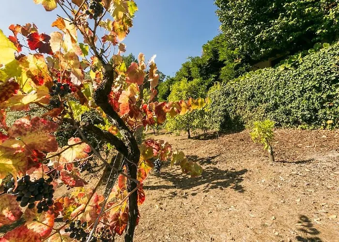 Tapadinho Nature And Pool - Countryside בית נופש *